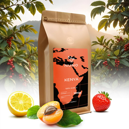 KAWA ZIARNISTA NUNO KENIA 1000G ŚWIEŻA 72H OD WYPALENIA