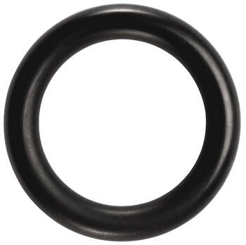 SAECO - USZCZELKA ORING 2025 TERMOIL