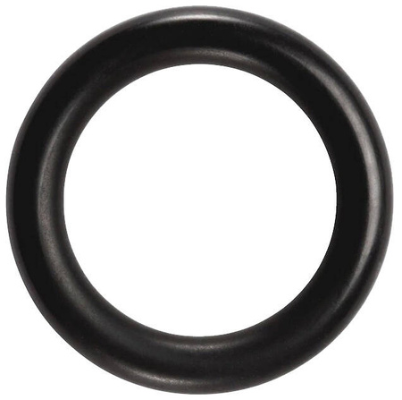 SAECO - USZCZELKA ORING 2025 TERMOIL